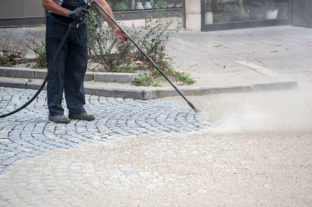 Best Animal Enclosure Cleaning  in New Haven, MI